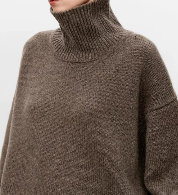 ELIANA I Jumper with Roll Neck
